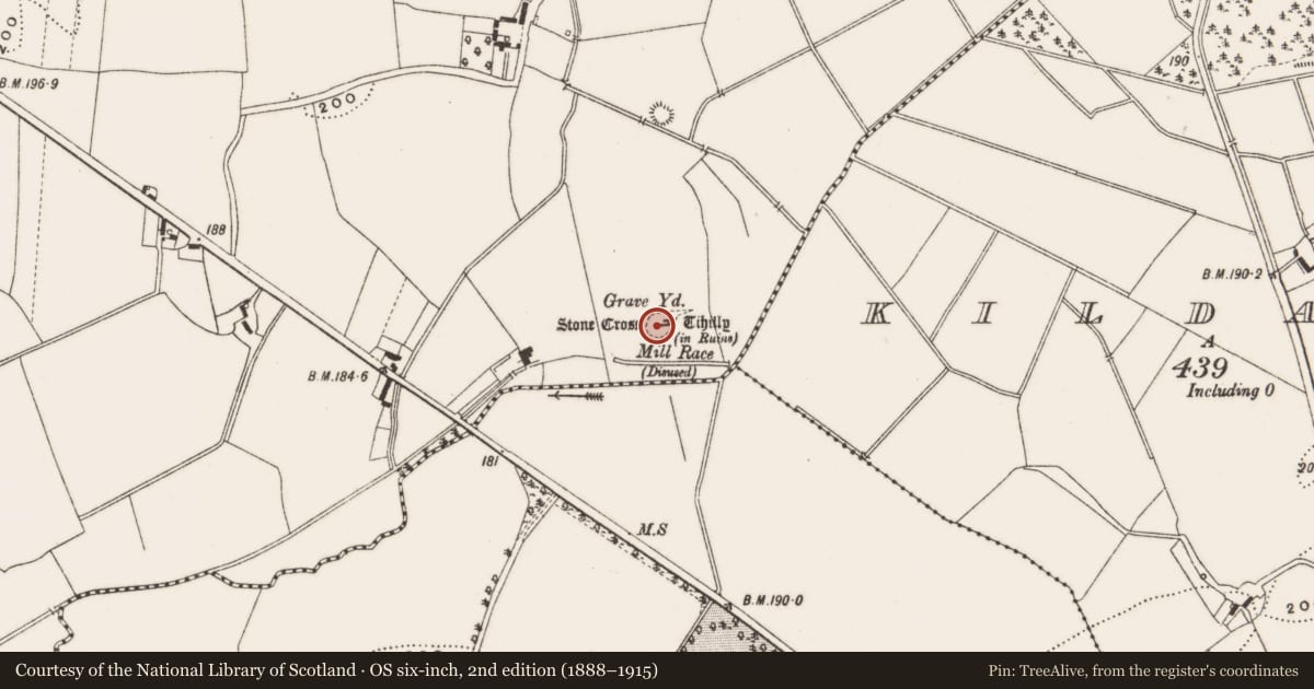 Ordnance Survey six-inch map, 2nd edition (1888–1915) covering the location of Ecclesiastical enclosure, Loughaun, County Offaly, with a pin at the register's coordinates