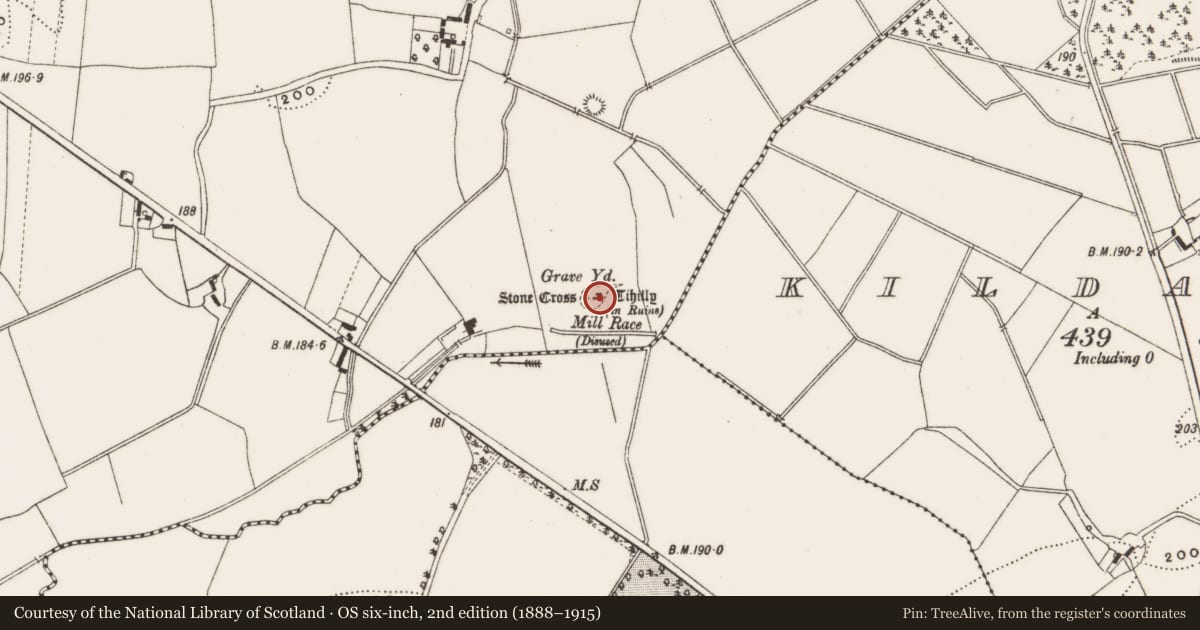Ordnance Survey six-inch map, 2nd edition (1888–1915) covering the location of Cross - High cross, Loughaun, County Offaly, with a pin at the register's coordinates