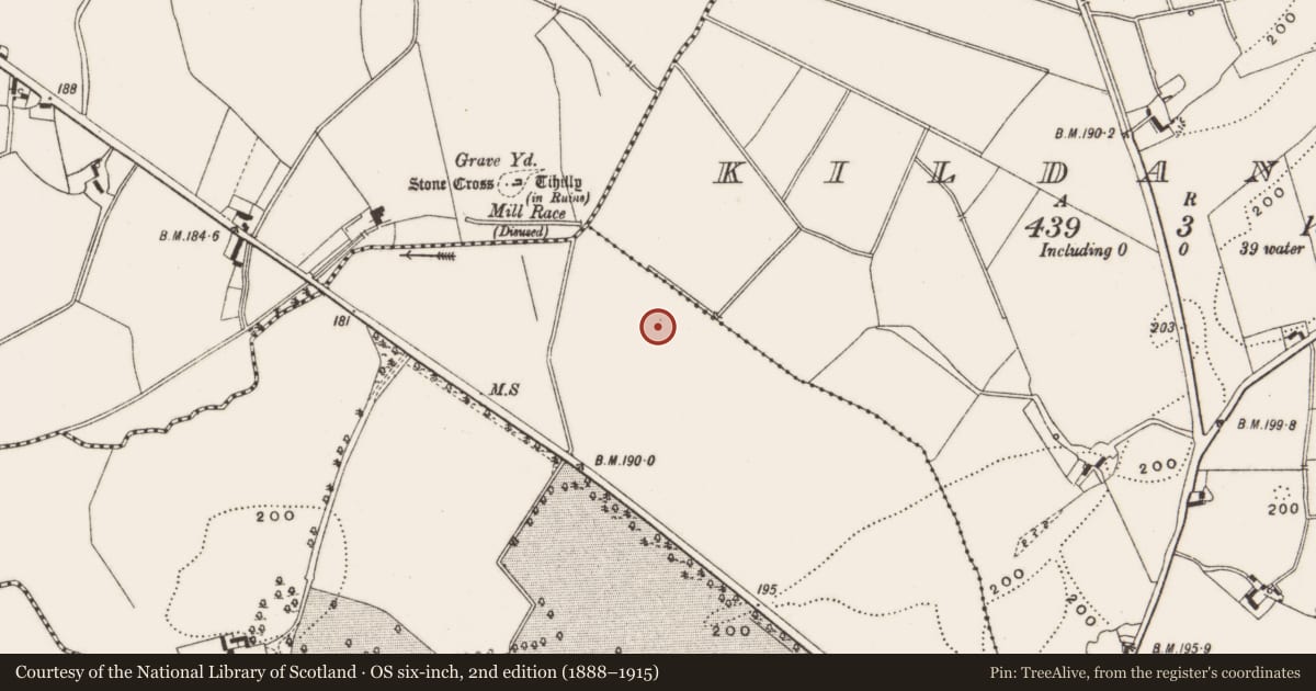 Ordnance Survey six-inch map, 2nd edition (1888–1915) covering the location of Ringfort - unclassified, Coleraine, County Offaly, with a pin at the register's coordinates