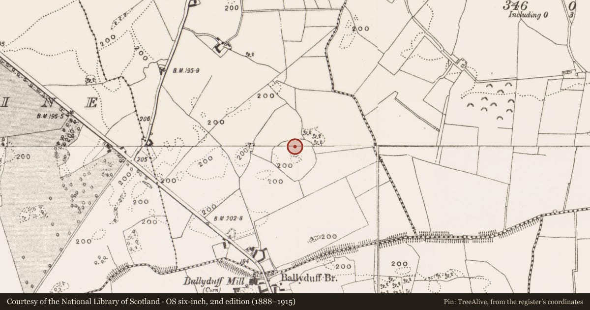 Ordnance Survey six-inch map, 2nd edition (1888–1915) covering the location of Enclosure, Kildangan, County Offaly, with a pin at the register's coordinates