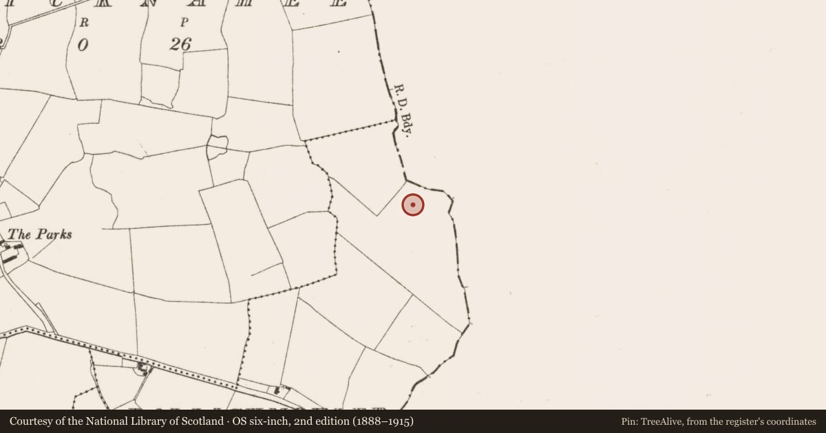 Ordnance Survey six-inch map, 2nd edition (1888–1915) covering the location of Cist, Ballickmoyler, County Offaly, with a pin at the register's coordinates