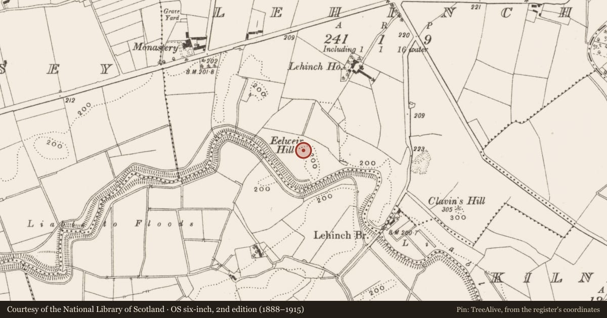 Ordnance Survey six-inch map, 2nd edition (1888–1915) covering the location of Enclosure, Lehinch, County Offaly, with a pin at the register's coordinates