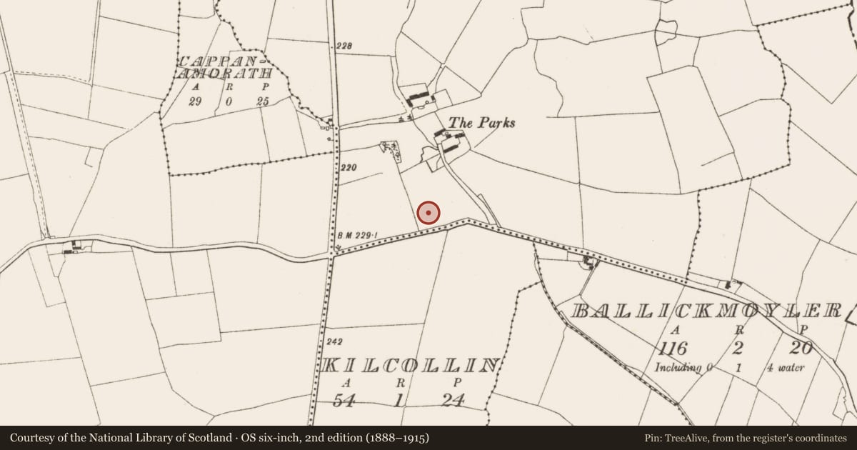 Ordnance Survey six-inch map, 2nd edition (1888–1915) covering the location of Burial ground, Ballicknahee, County Offaly, with a pin at the register's coordinates