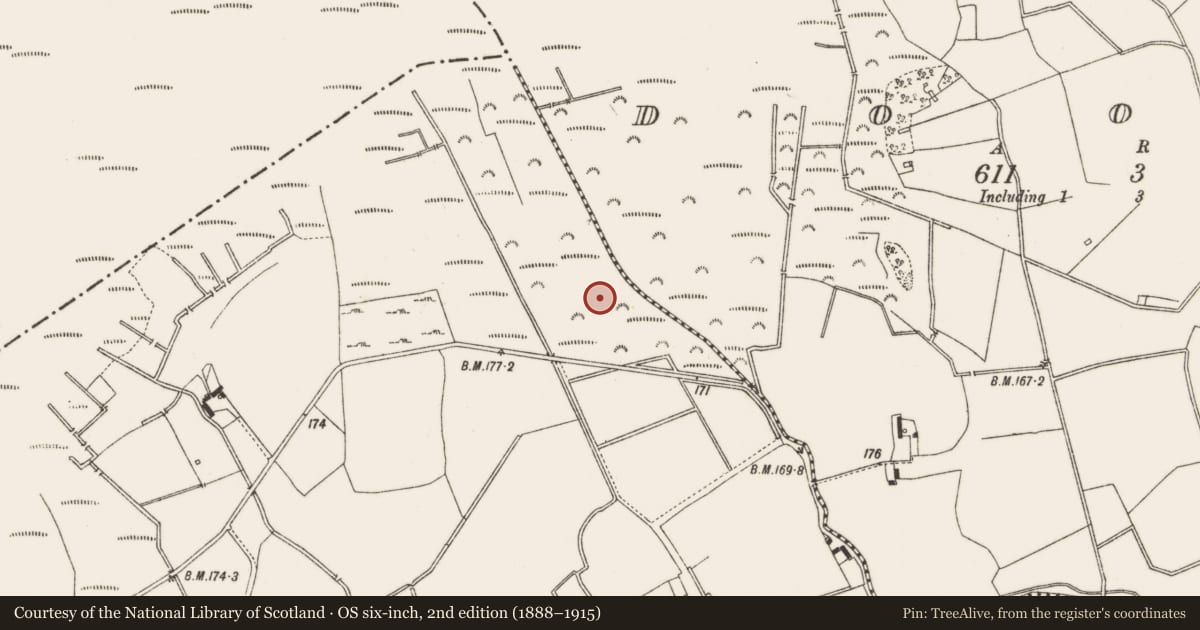 Ordnance Survey six-inch map, 2nd edition (1888–1915) covering the location of Road - class 3 togher, Derries, County Offaly, with a pin at the register's coordinates