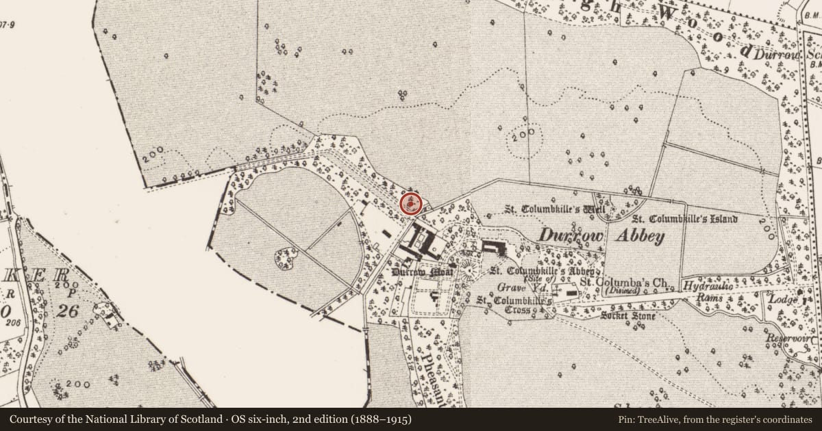 Ordnance Survey six-inch map, 2nd edition (1888–1915) covering the location of Water mill - unclassified, Durrow Demesne, County Offaly, with a pin at the register's coordinates