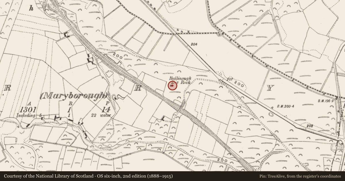 Ordnance Survey six-inch map, 2nd edition (1888–1915) covering the location of Mass-rock, Erry (Maryborough), County Offaly, with a pin at the register's coordinates