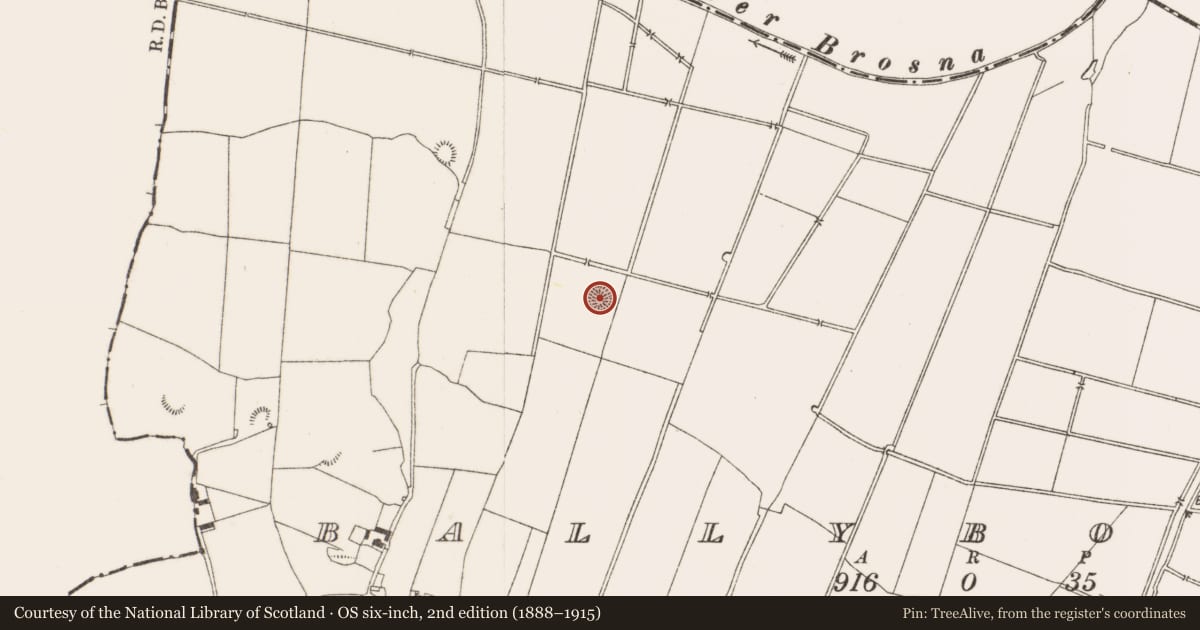 Ordnance Survey six-inch map, 2nd edition (1888–1915) covering the location of Ringfort - unclassified, Ballybought, County Offaly, with a pin at the register's coordinates
