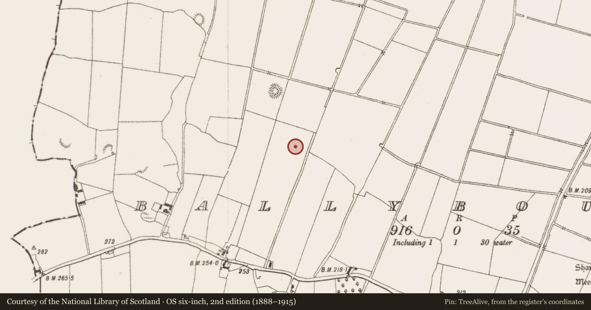 Ordnance Survey six-inch map, 2nd edition (1888–1915) covering the location of Ringfort - unclassified, Ballybought, County Offaly, with a pin at the register's coordinates
