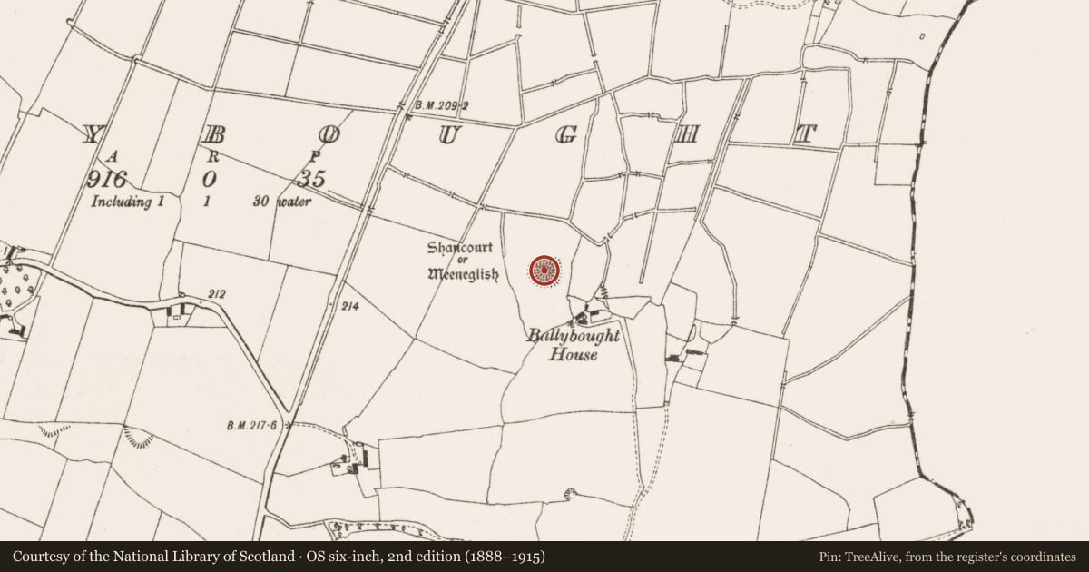 Ordnance Survey six-inch map, 2nd edition (1888–1915) covering the location of Castle - unclassified, Ballybought, County Offaly, with a pin at the register's coordinates