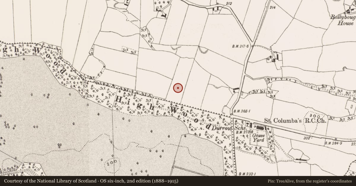 Ordnance Survey six-inch map, 2nd edition (1888–1915) covering the location of Enclosure, Ballybought, County Offaly, with a pin at the register's coordinates