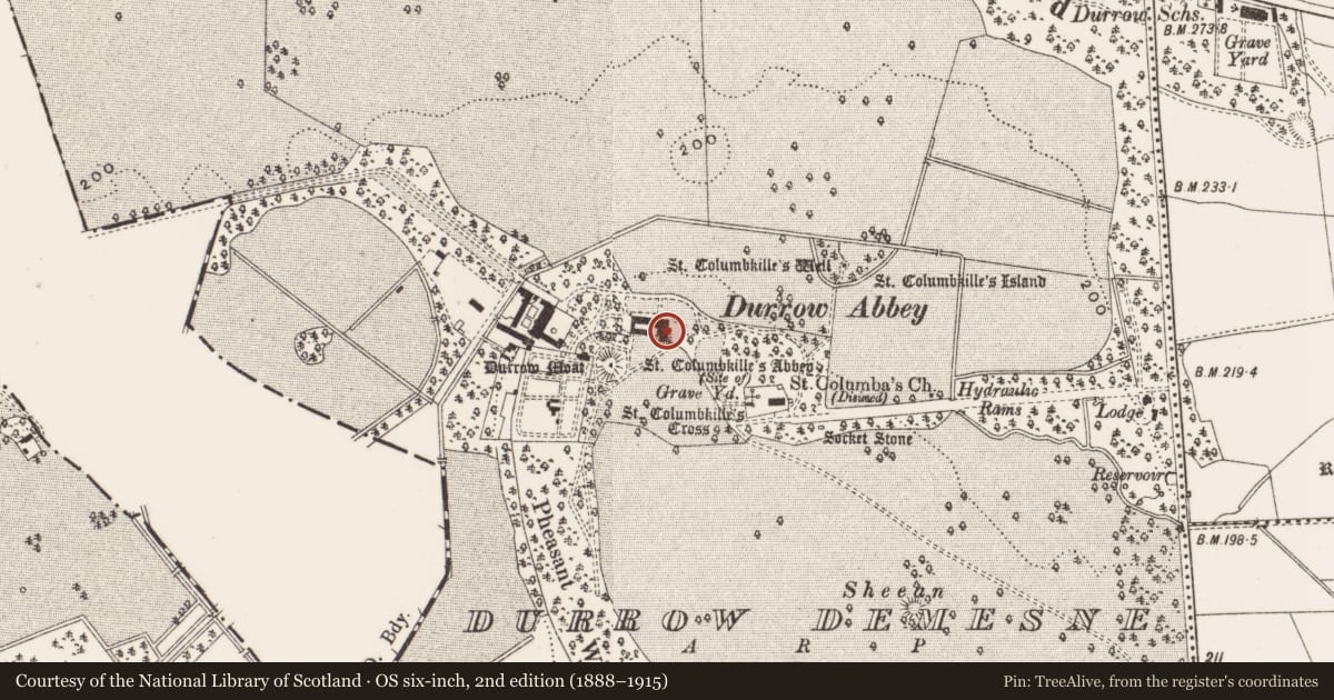 Ordnance Survey six-inch map, 2nd edition (1888–1915) covering the location of Castle - unclassified, Durrow Demesne, County Offaly, with a pin at the register's coordinates