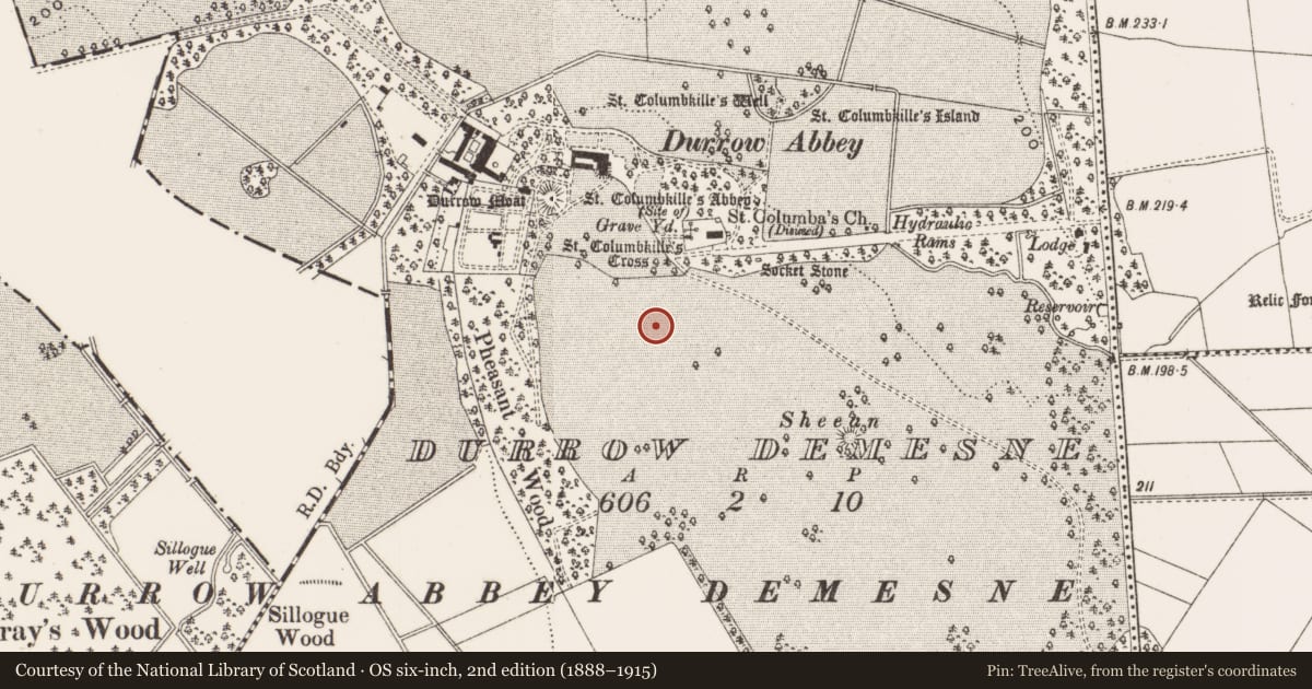 Ordnance Survey six-inch map, 2nd edition (1888–1915) covering the location of Ecclesiastical enclosure, Durrow Demesne, County Offaly, with a pin at the register's coordinates