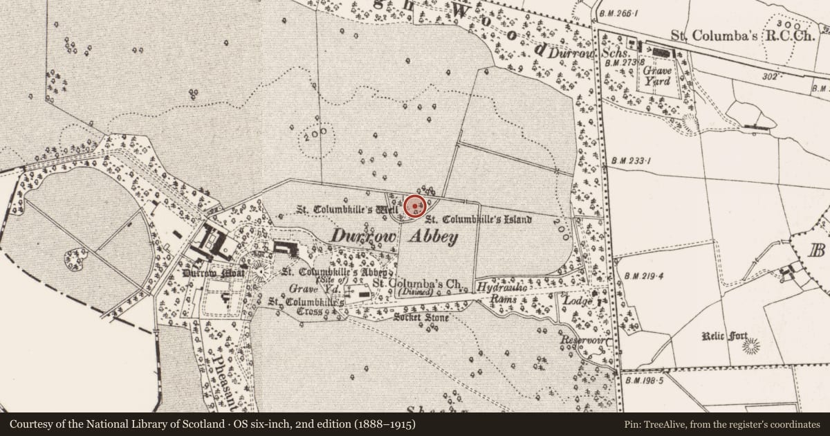 Ordnance Survey six-inch map, 2nd edition (1888–1915) covering the location of Enclosure, Durrow Demesne, County Offaly, with a pin at the register's coordinates