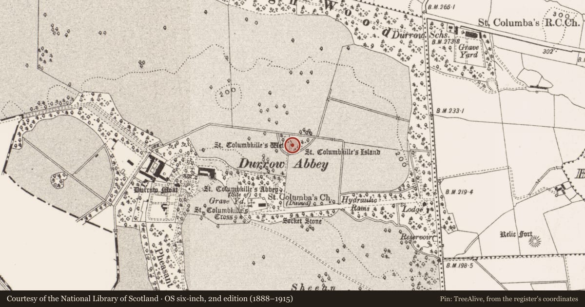 Ordnance Survey six-inch map, 2nd edition (1888–1915) covering the location of Ritual site - holy well, Durrow Demesne, County Offaly, with a pin at the register's coordinates
