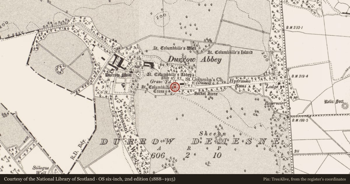 Ordnance Survey six-inch map, 2nd edition (1888–1915) covering the location of Cross - High cross, Durrow Demesne, County Offaly, with a pin at the register's coordinates