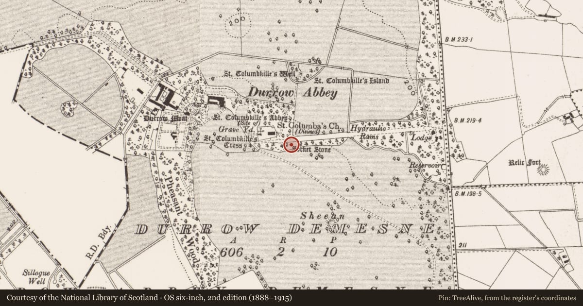 Ordnance Survey six-inch map, 2nd edition (1888–1915) covering the location of Cross, Durrow Demesne, County Offaly, with a pin at the register's coordinates