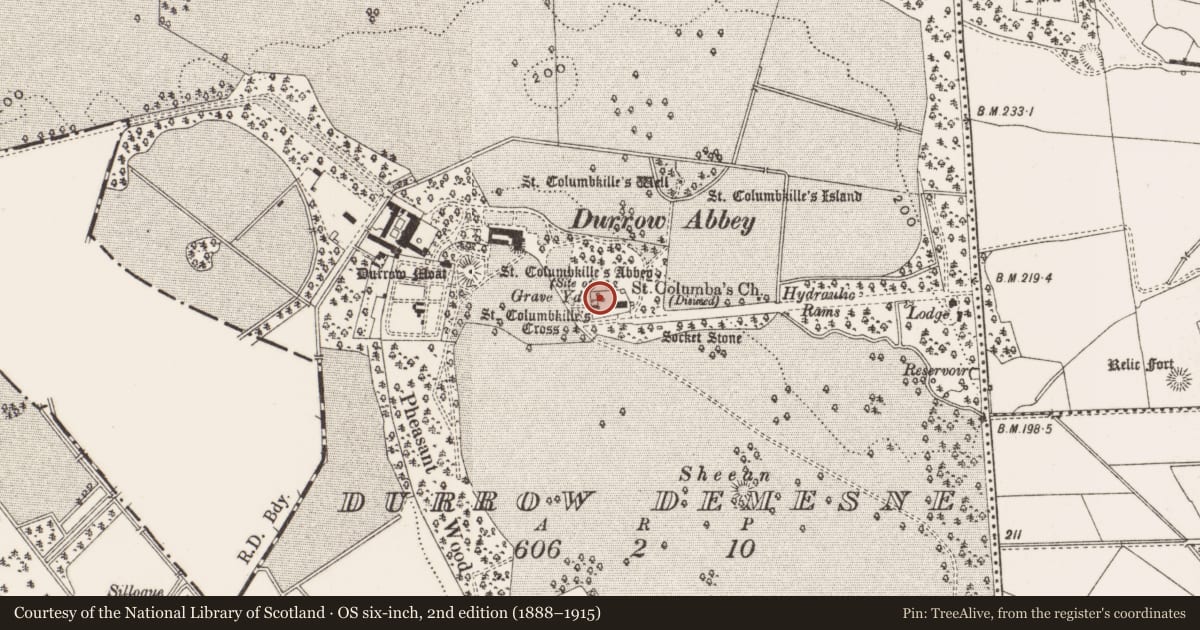 Ordnance Survey six-inch map, 2nd edition (1888–1915) covering the location of Religious house - Augustinian canons, Durrow Demesne, County Offaly, with a pin at the register's coordinates