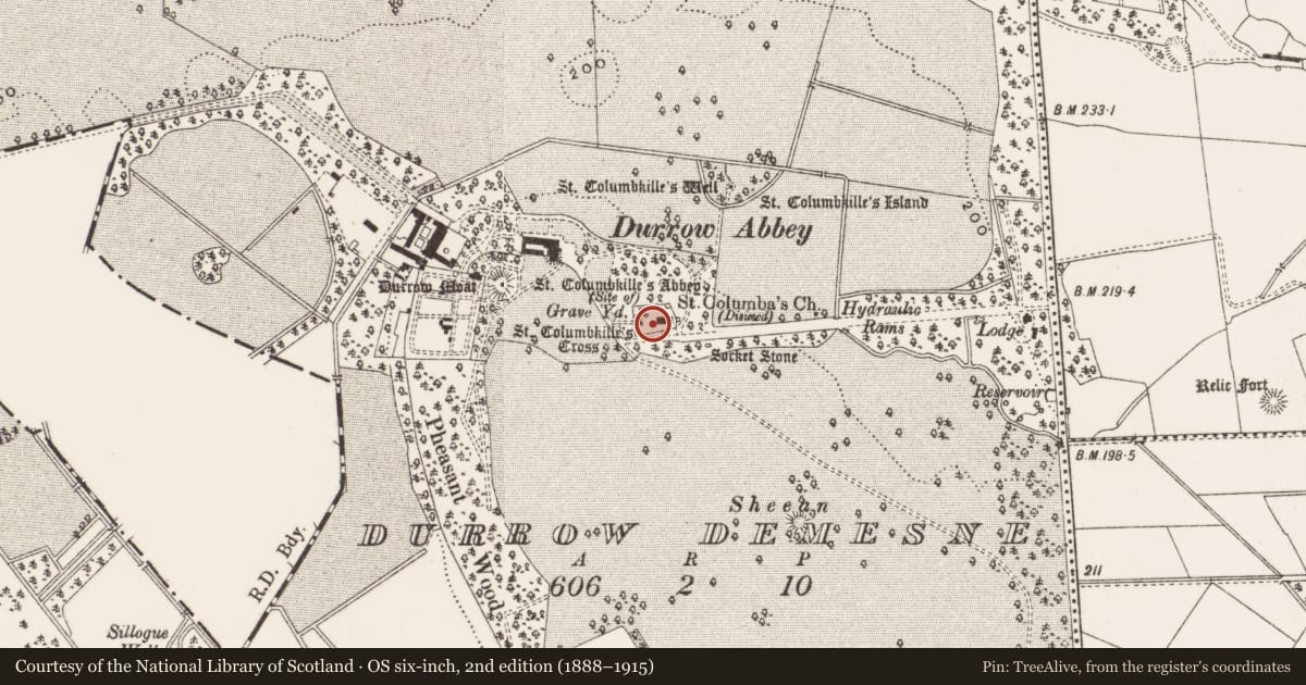 Ordnance Survey six-inch map, 2nd edition (1888–1915) covering the location of Graveyard, Durrow Demesne, County Offaly, with a pin at the register's coordinates