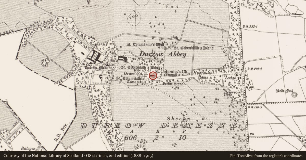 Ordnance Survey six-inch map, 2nd edition (1888–1915) covering the location of Cross - High cross, Durrow Demesne, County Offaly, with a pin at the register's coordinates
