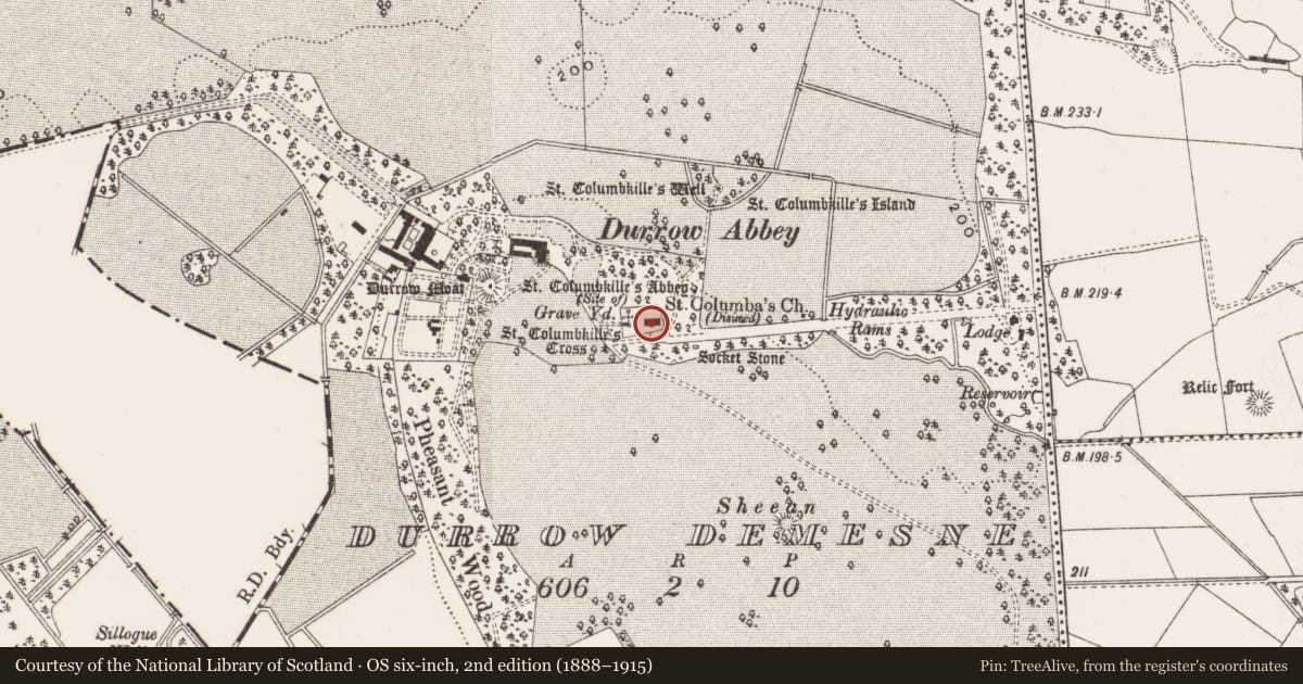 Ordnance Survey six-inch map, 2nd edition (1888–1915) covering the location of Cross-slab, Durrow Demesne, County Offaly, with a pin at the register's coordinates