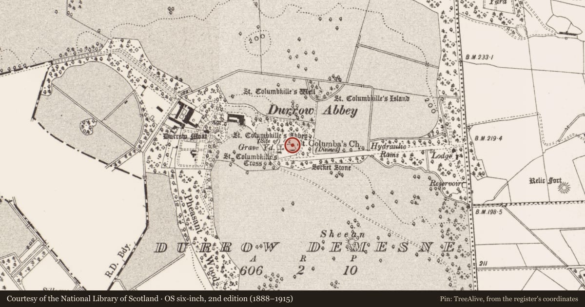 Ordnance Survey six-inch map, 2nd edition (1888–1915) covering the location of Graveslab, Durrow Demesne, County Offaly, with a pin at the register's coordinates