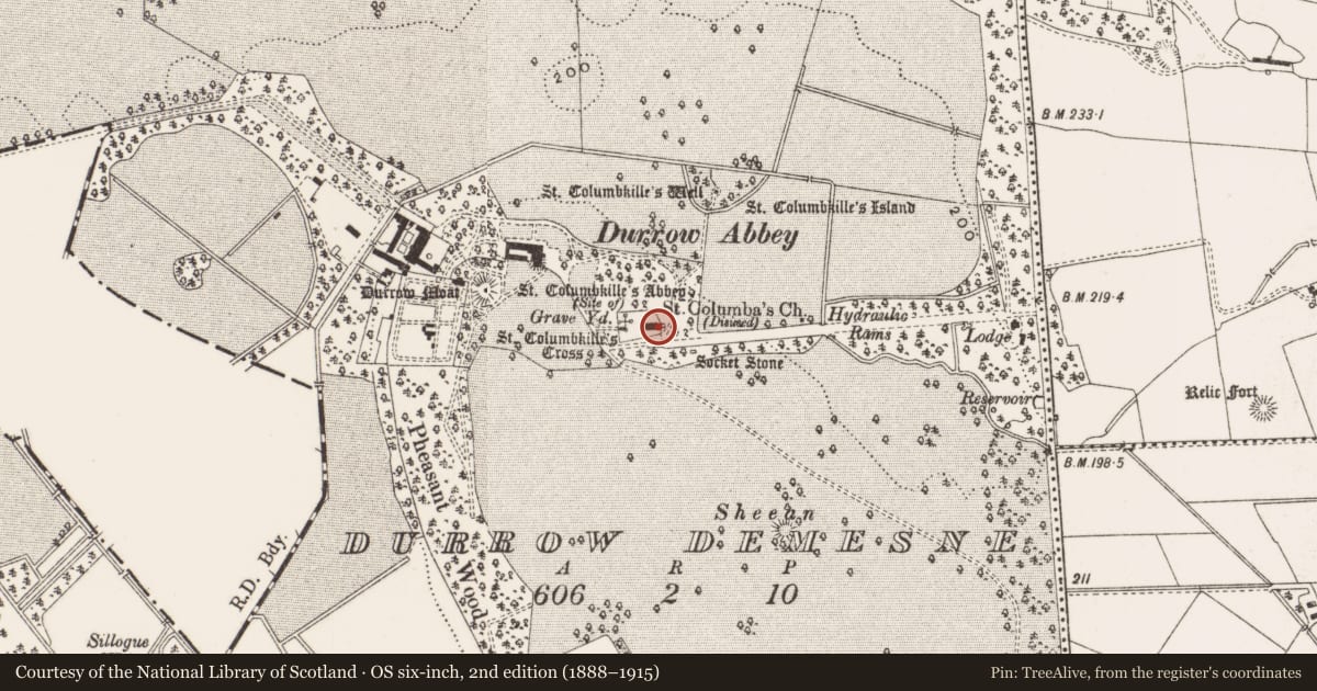 Ordnance Survey six-inch map, 2nd edition (1888–1915) covering the location of Cross-slab, Durrow Demesne, County Offaly, with a pin at the register's coordinates