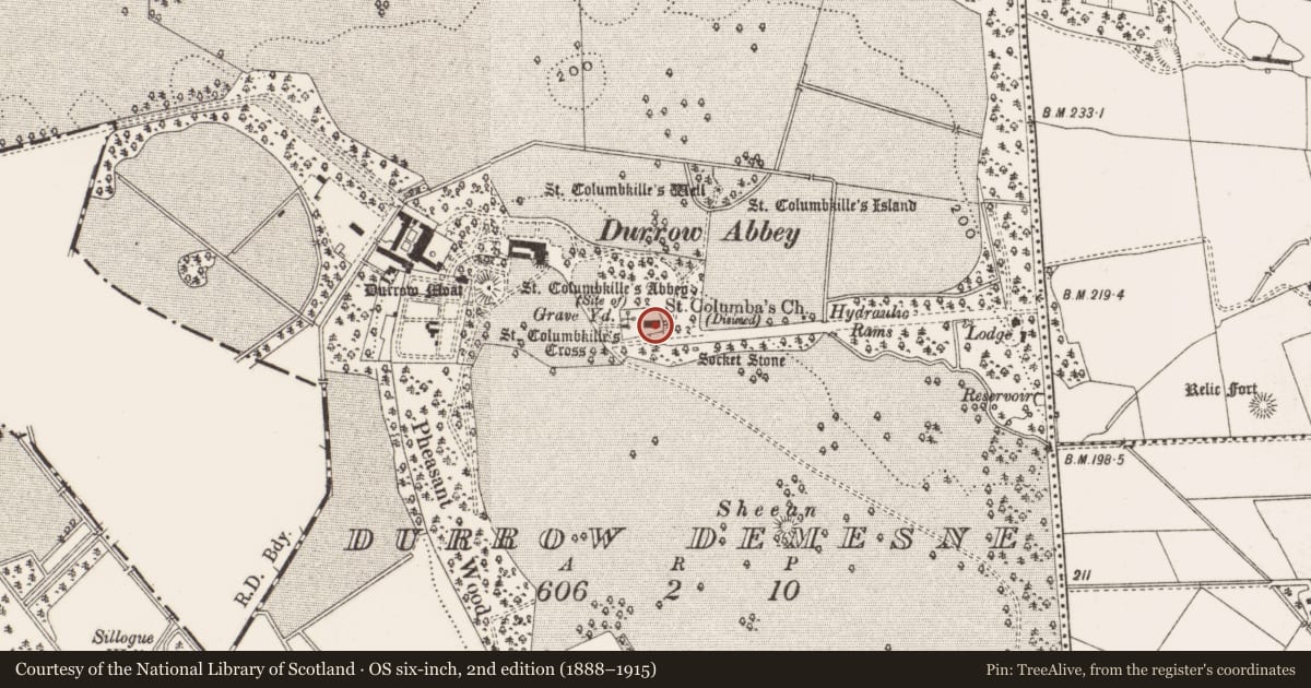 Ordnance Survey six-inch map, 2nd edition (1888–1915) covering the location of Cross-slab, Durrow Demesne, County Offaly, with a pin at the register's coordinates