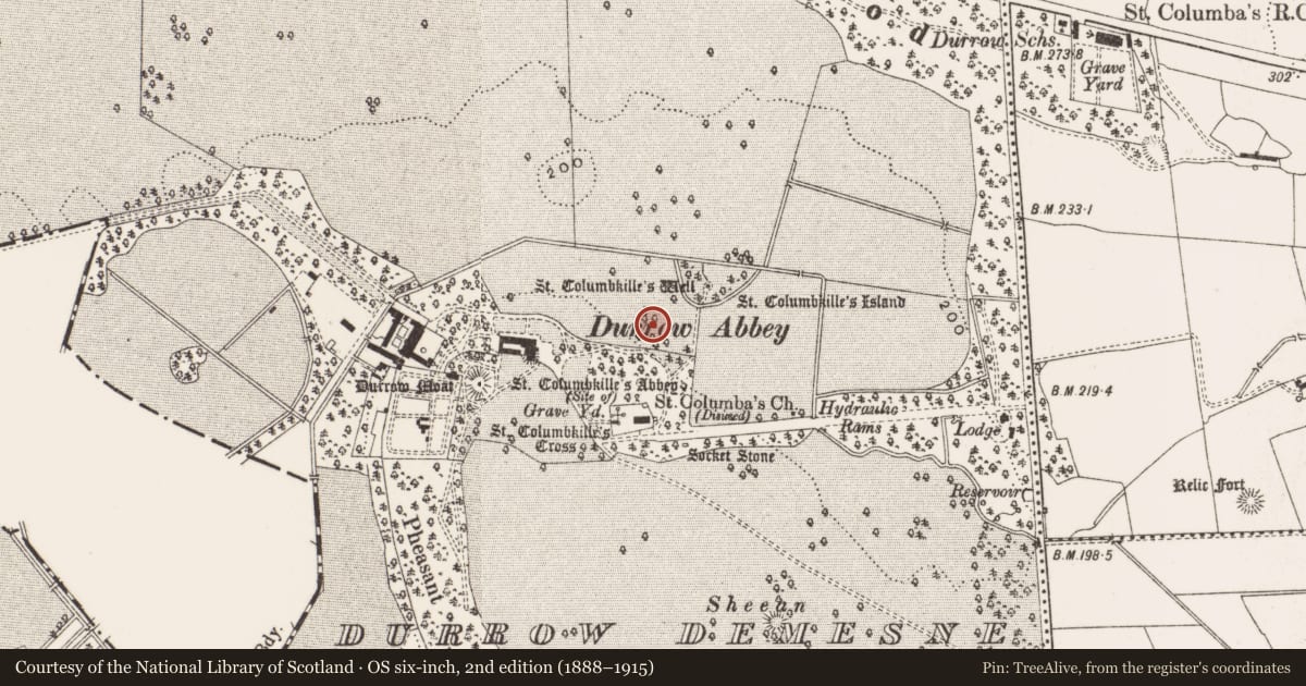 Ordnance Survey six-inch map, 2nd edition (1888–1915) covering the location of Ritual site - holy well, Durrow Demesne, County Offaly, with a pin at the register's coordinates