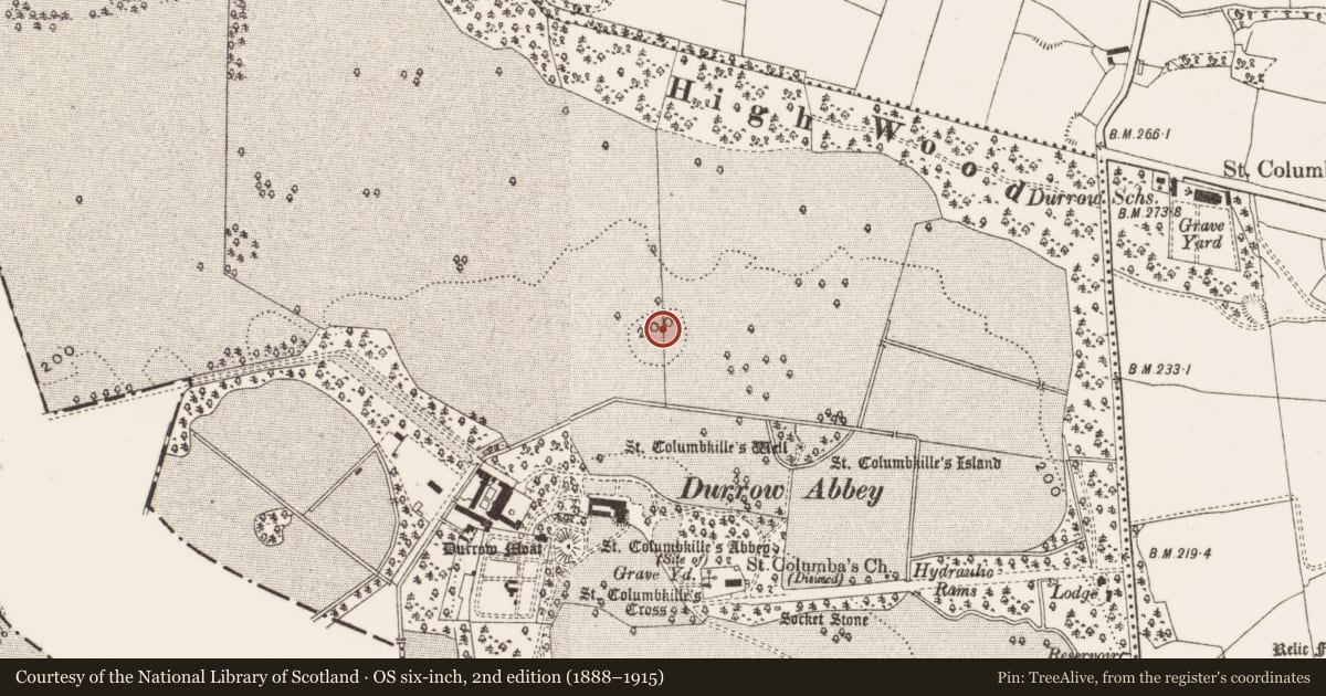 Ordnance Survey six-inch map, 2nd edition (1888–1915) covering the location of Enclosure, Durrow Demesne, County Offaly, with a pin at the register's coordinates