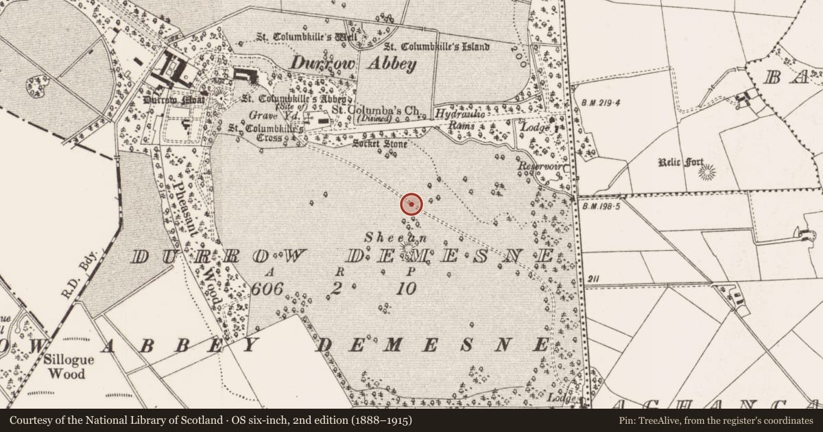 Ordnance Survey six-inch map, 2nd edition (1888–1915) covering the location of Road - road/trackway, Durrow Demesne, County Offaly, with a pin at the register's coordinates