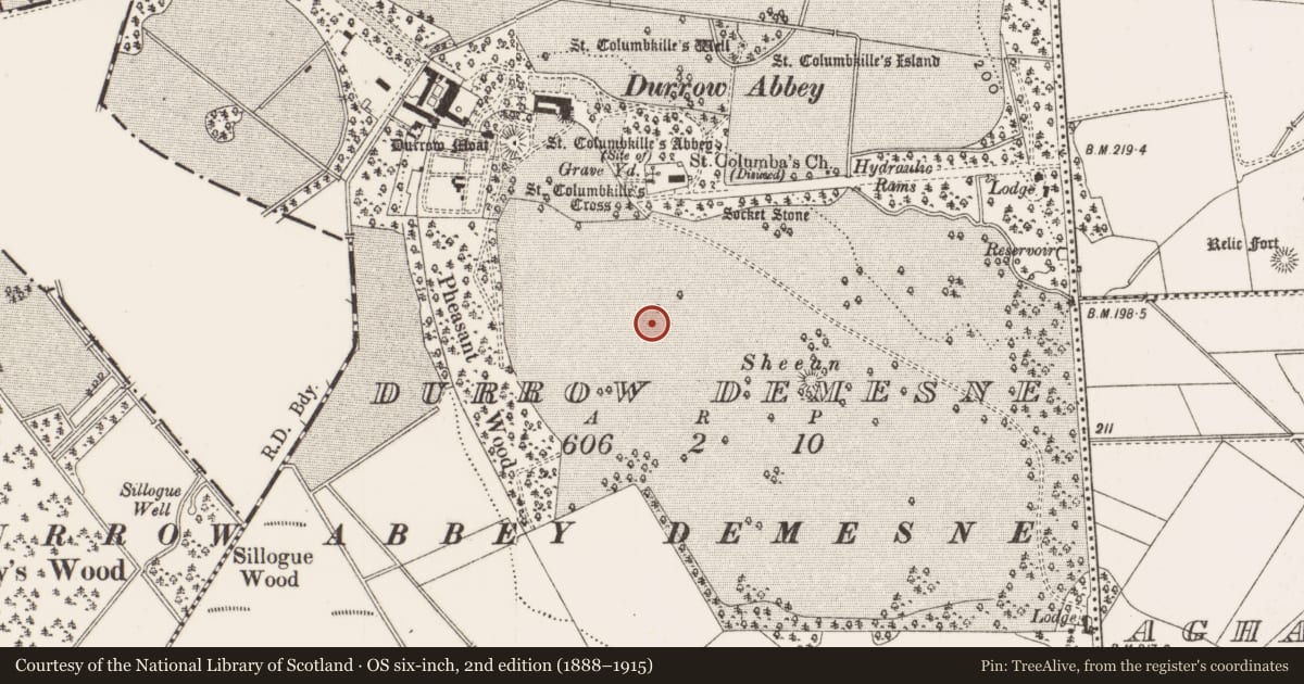 Ordnance Survey six-inch map, 2nd edition (1888–1915) covering the location of Barrow - ring-barrow, Durrow Demesne, County Offaly, with a pin at the register's coordinates