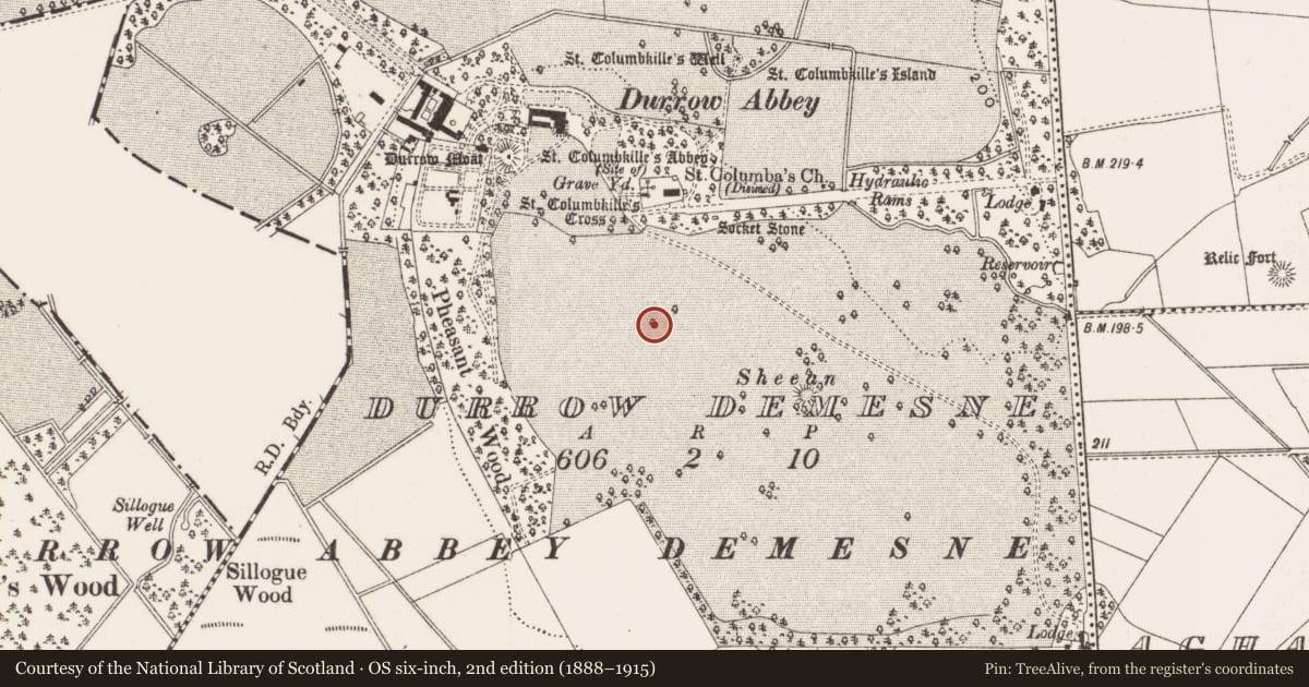 Ordnance Survey six-inch map, 2nd edition (1888–1915) covering the location of Barrow - ring-barrow, Durrow Demesne, County Offaly, with a pin at the register's coordinates