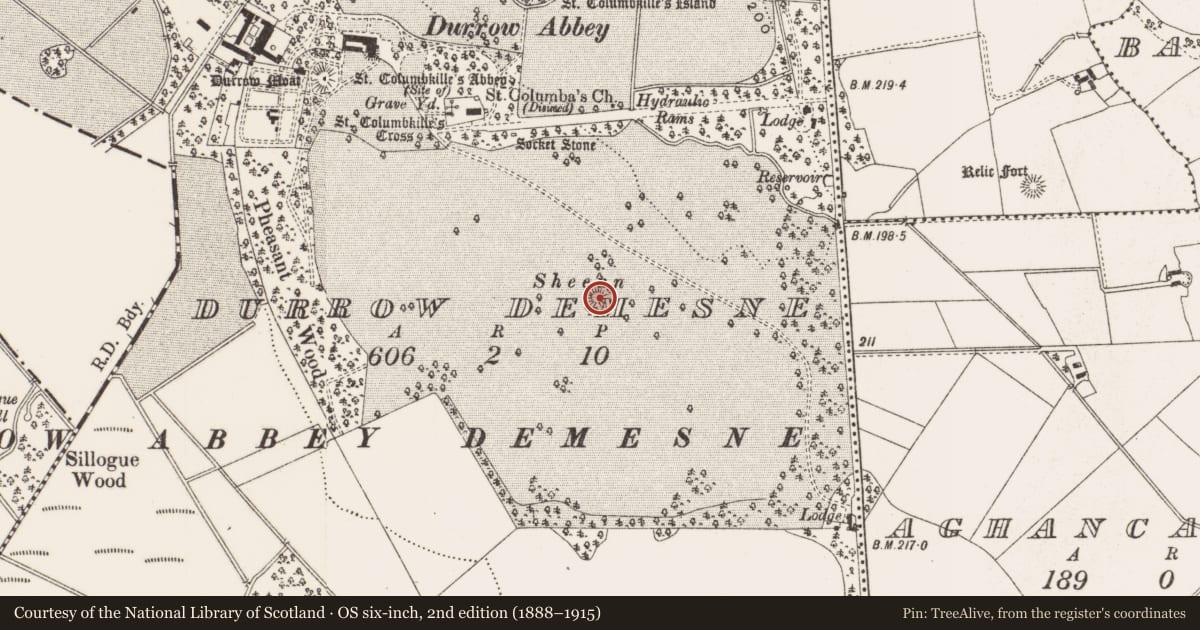 Ordnance Survey six-inch map, 2nd edition (1888–1915) covering the location of Burial mound, Durrow Demesne, County Offaly, with a pin at the register's coordinates