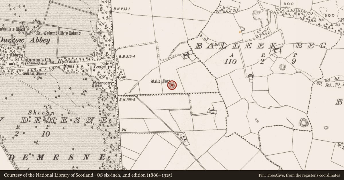 Ordnance Survey six-inch map, 2nd edition (1888–1915) covering the location of Ringfort - rath, Ballybought, County Offaly, with a pin at the register's coordinates