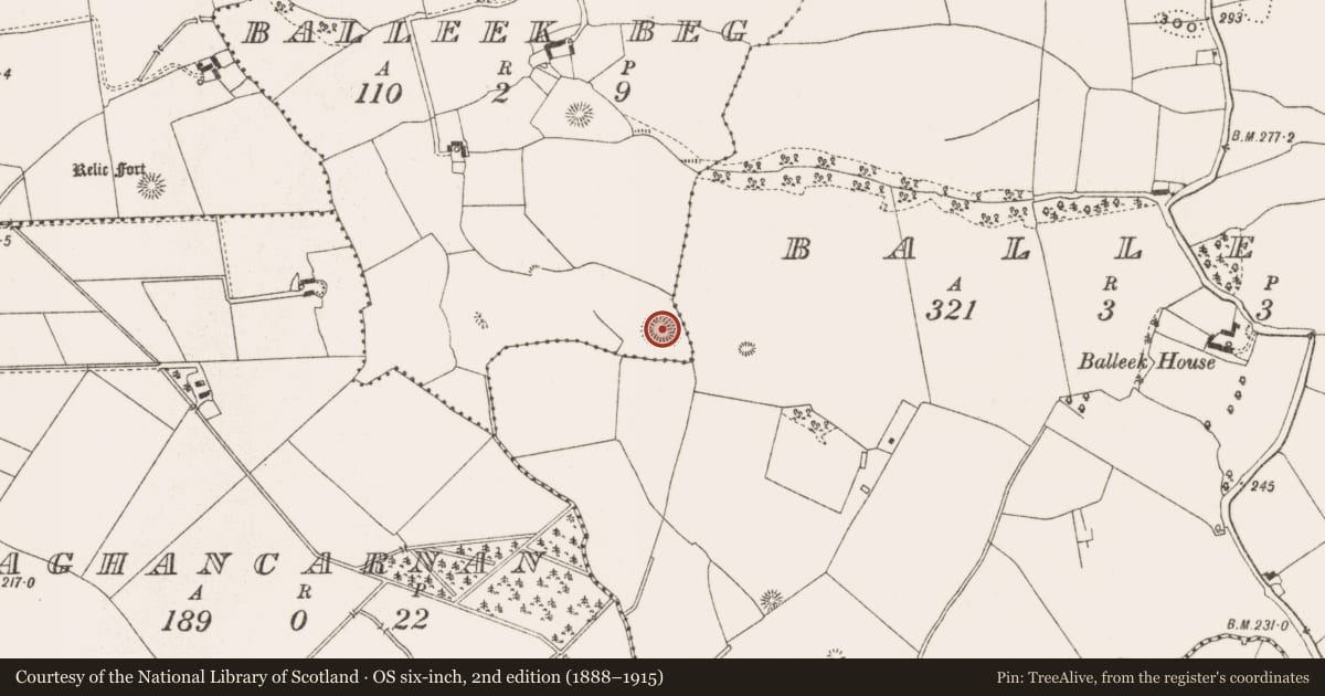 Ordnance Survey six-inch map, 2nd edition (1888–1915) covering the location of Ringfort - rath, Balleek Beg, County Offaly, with a pin at the register's coordinates