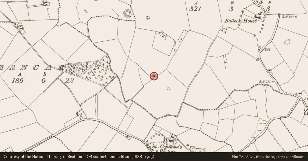 Ordnance Survey six-inch map, 2nd edition (1888–1915) covering the location of Barrow - ring-barrow, Balleek, County Offaly, with a pin at the register's coordinates