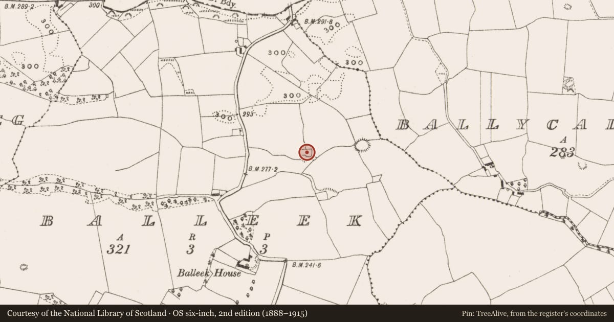 Ordnance Survey six-inch map, 2nd edition (1888–1915) covering the location of Hut site, Balleek, County Offaly, with a pin at the register's coordinates