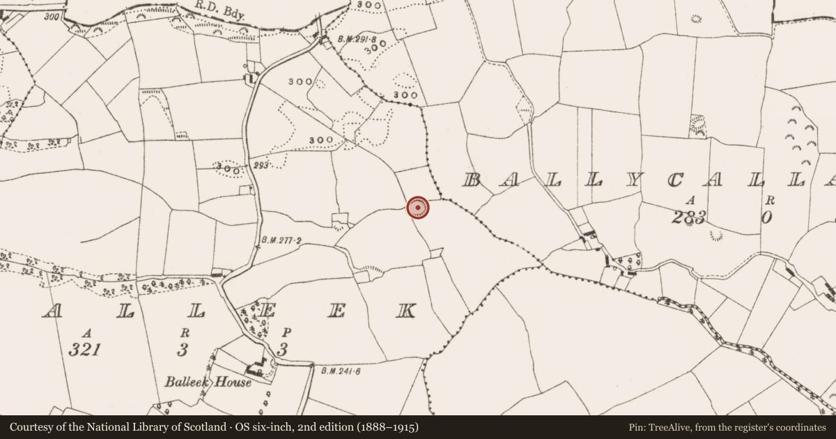 Ordnance Survey six-inch map, 2nd edition (1888–1915) covering the location of Ringfort - rath, Balleek, County Offaly, with a pin at the register's coordinates