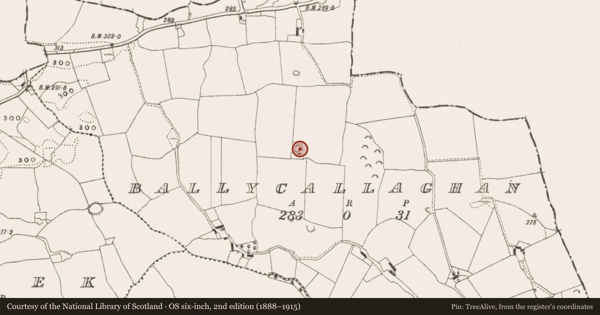 Ordnance Survey six-inch map, 2nd edition (1888–1915) covering the location of Barrow - ring-barrow, Ballycallaghan, County Offaly, with a pin at the register's coordinates
