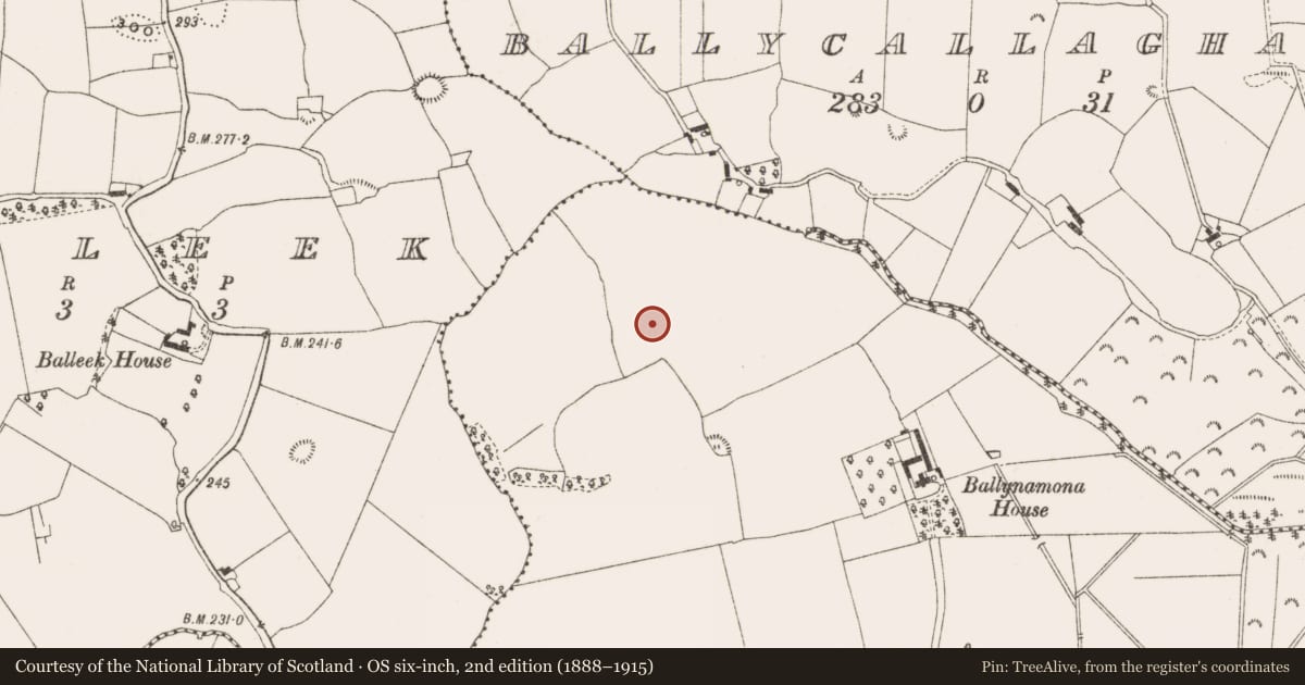 Ordnance Survey six-inch map, 2nd edition (1888–1915) covering the location of Standing stone, Ballynamona, County Offaly, with a pin at the register's coordinates