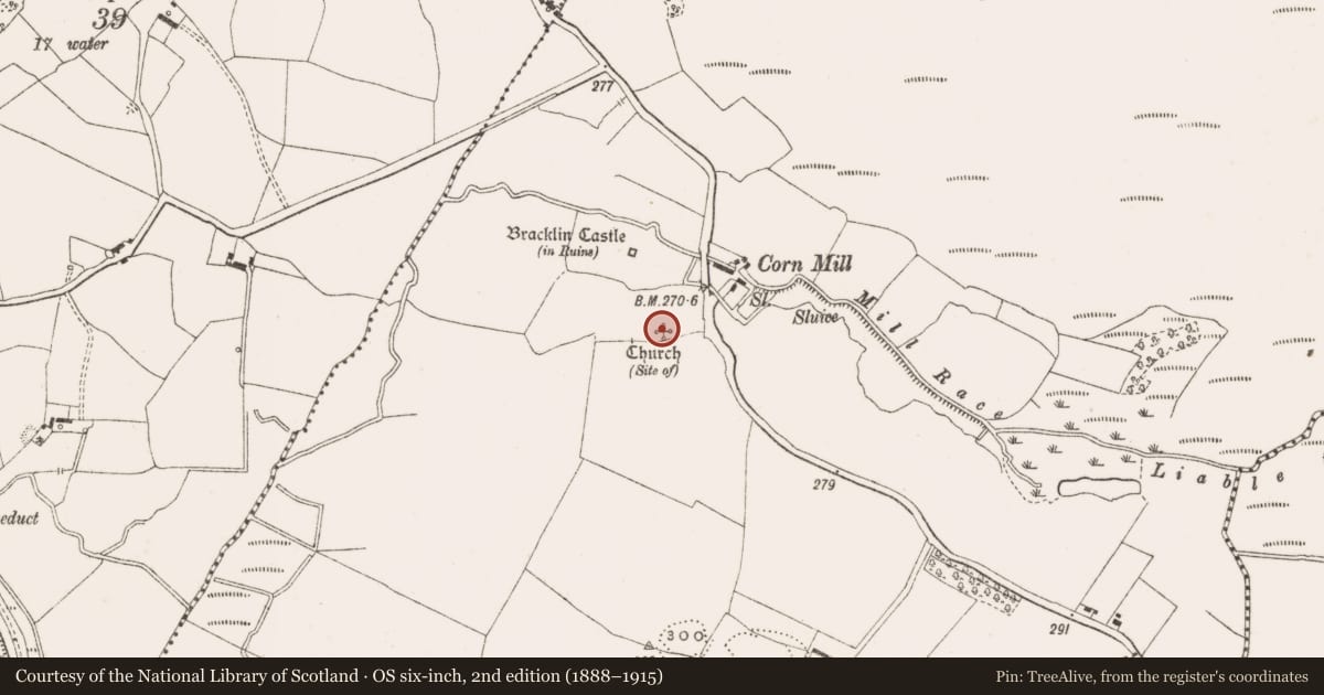 Ordnance Survey six-inch map, 2nd edition (1888–1915) covering the location of Church, Bracklin Big, County Offaly, with a pin at the register's coordinates