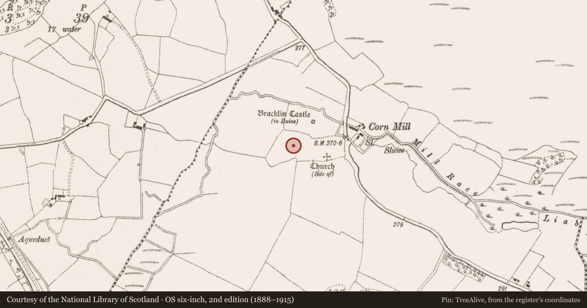 Ordnance Survey six-inch map, 2nd edition (1888–1915) covering the location of Bawn, Bracklin Big, County Offaly, with a pin at the register's coordinates