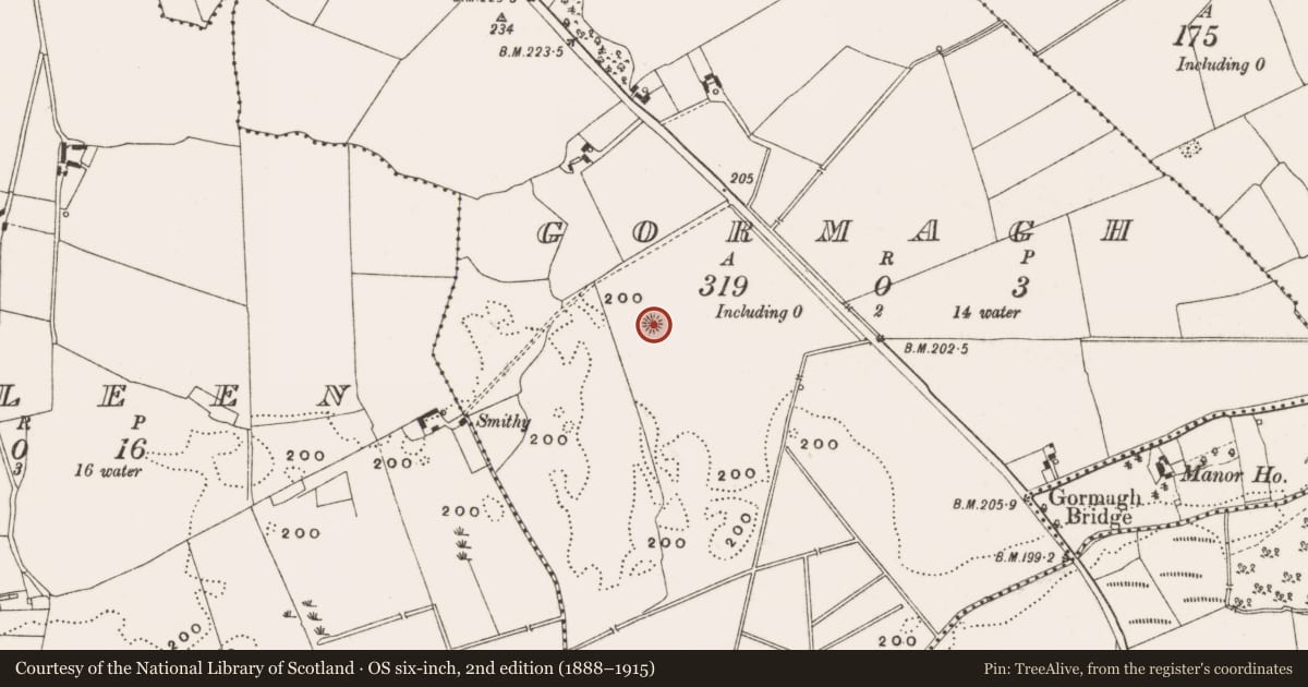 Ordnance Survey six-inch map, 2nd edition (1888–1915) covering the location of Enclosure, Gormagh, County Offaly, with a pin at the register's coordinates