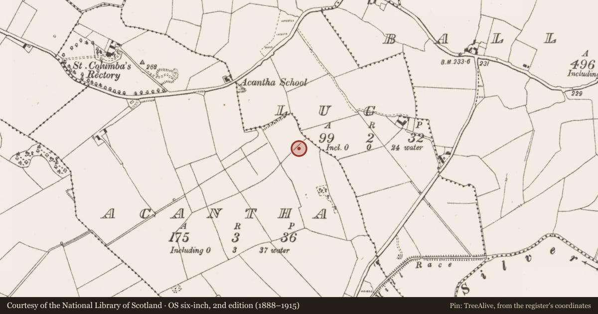 Ordnance Survey six-inch map, 2nd edition (1888–1915) covering the location of Enclosure, Acantha, County Offaly, with a pin at the register's coordinates