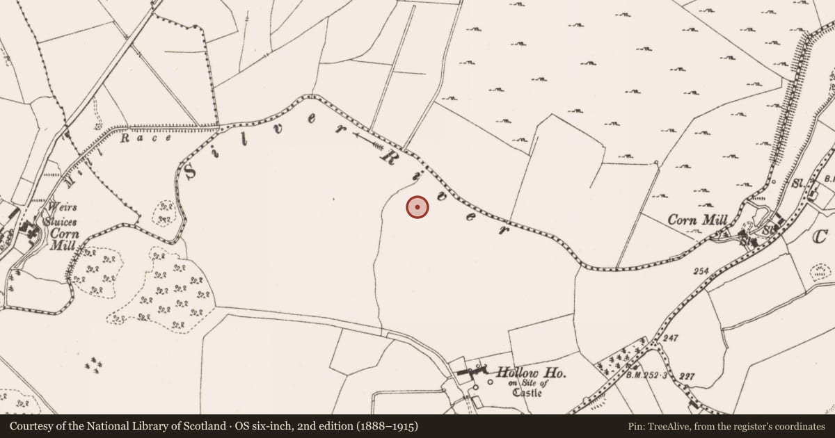 Ordnance Survey six-inch map, 2nd edition (1888–1915) covering the location of Enclosure, Ballynasrah Or Tinnycross, County Offaly, with a pin at the register's coordinates