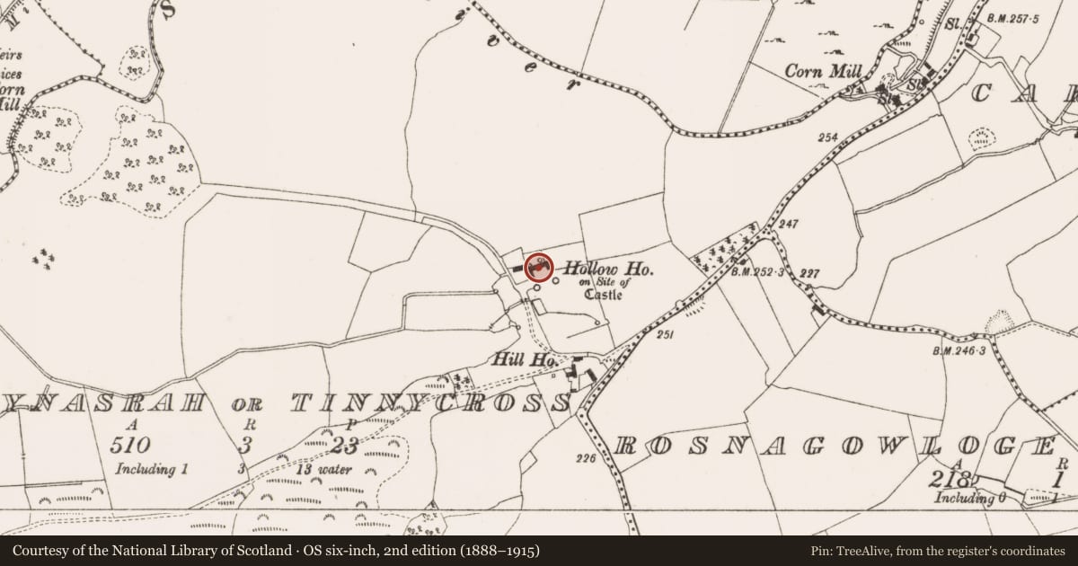 Ordnance Survey six-inch map, 2nd edition (1888–1915) covering the location of House - fortified house, Ballynasrah Or Tinnycross, County Offaly, with a pin at the register's coordinates