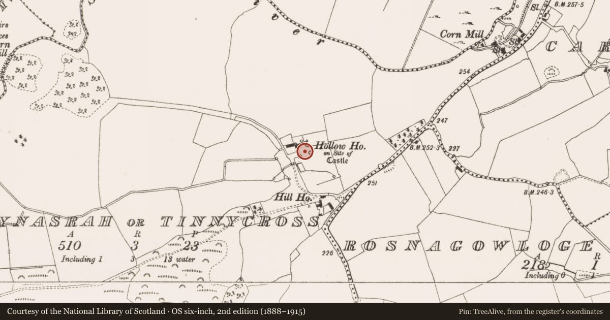 Ordnance Survey six-inch map, 2nd edition (1888–1915) covering the location of Bawn, Ballynasrah Or Tinnycross, County Offaly, with a pin at the register's coordinates