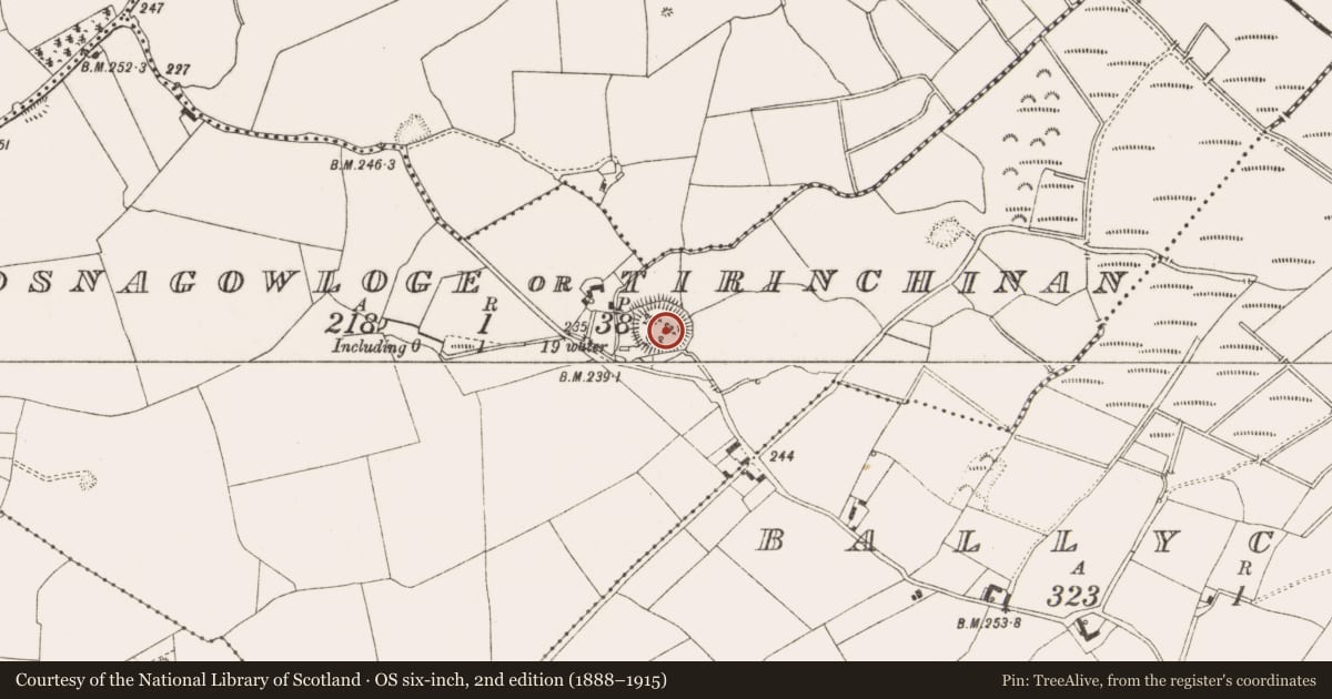 Ordnance Survey six-inch map, 2nd edition (1888–1915) covering the location of Ringfort - rath, Rosnagowloge Or Tirinchinan, County Offaly, with a pin at the register's coordinates