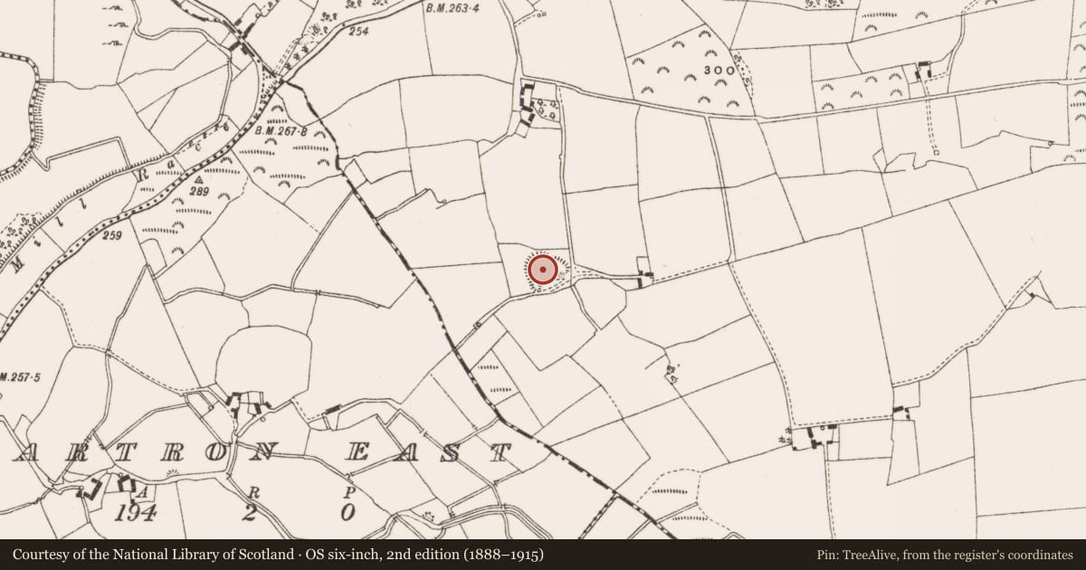 Ordnance Survey six-inch map, 2nd edition (1888–1915) covering the location of Ringfort - rath, Bracklin Big, County Offaly, with a pin at the register's coordinates