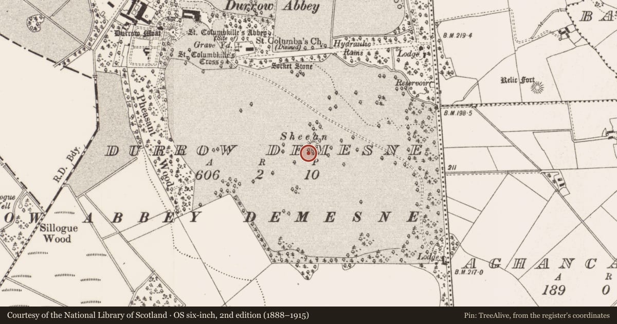 Ordnance Survey six-inch map, 2nd edition (1888–1915) covering the location of Mound, Durrow Demesne, County Offaly, with a pin at the register's coordinates